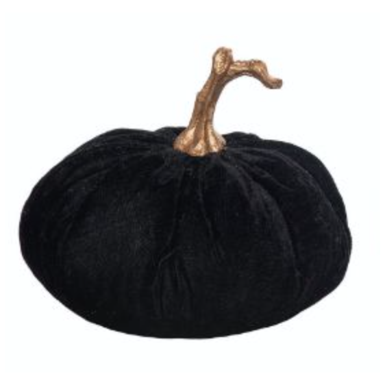 Black Velvet Pumpkin