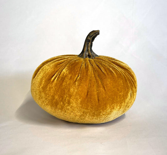 Honey Velvet Pumpkin