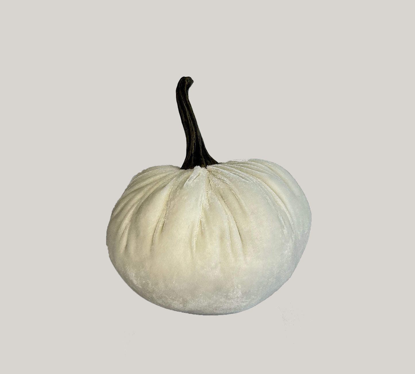 White Velvet Pumpkin